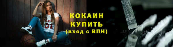 мет Инта