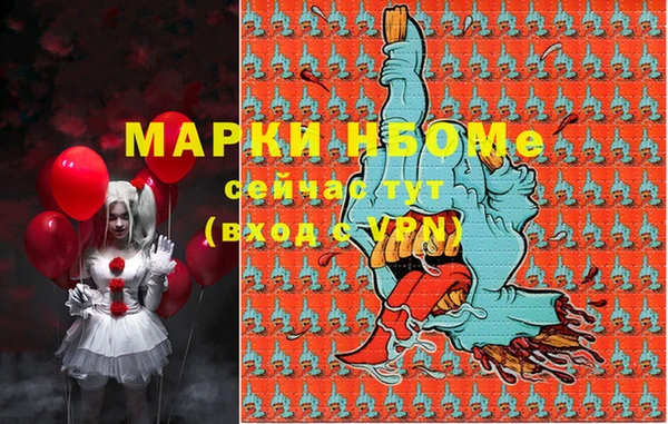 мет Инта