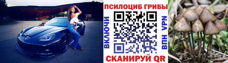 Купить где  Калачинск  Псилоцибиновые грибы Psilocybe 
